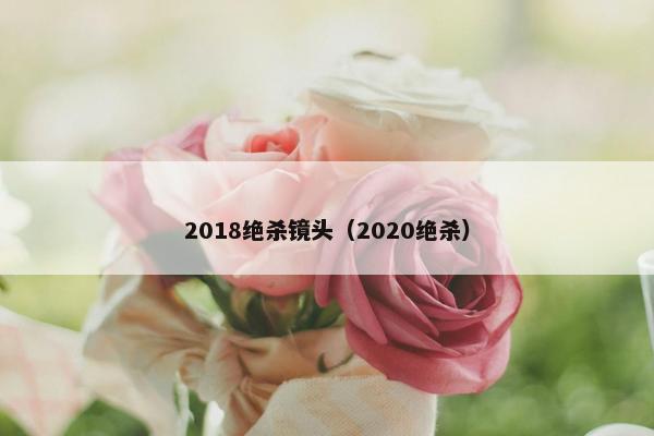 2018绝杀镜头（2020绝杀）