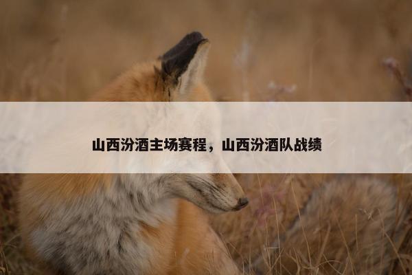 山西汾酒主场赛程，山西汾酒队战绩
