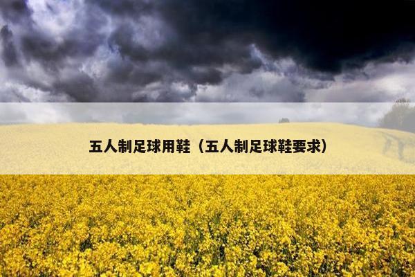 五人制足球用鞋（五人制足球鞋要求）