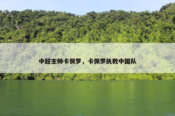 中超主帅卡佩罗，卡佩罗执教中国队