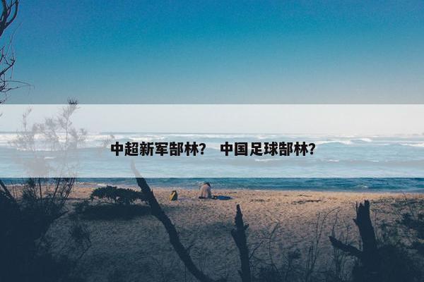 中超新军郜林？ 中国足球郜林？