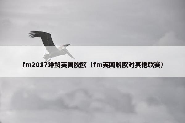 fm2017详解英国脱欧（fm英国脱欧对其他联赛）