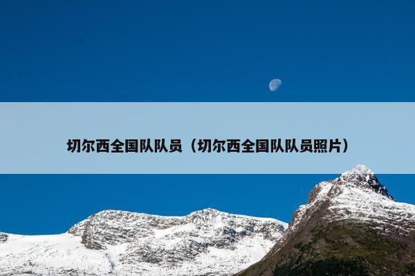 切尔西全国队队员（切尔西全国队队员照片）