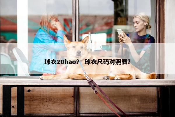 球衣20hao？ 球衣尺码对照表？