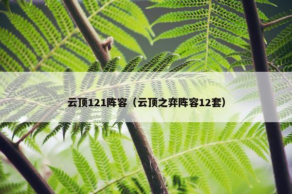 云顶121阵容（云顶之弈阵容12套）