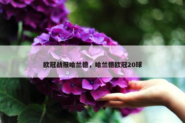欧冠战报哈兰德，哈兰德欧冠20球