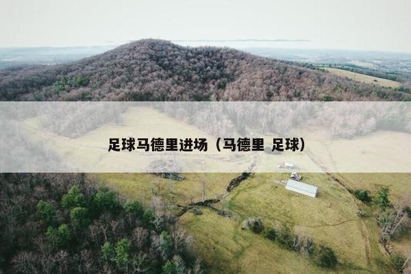 足球马德里进场（马德里 足球）