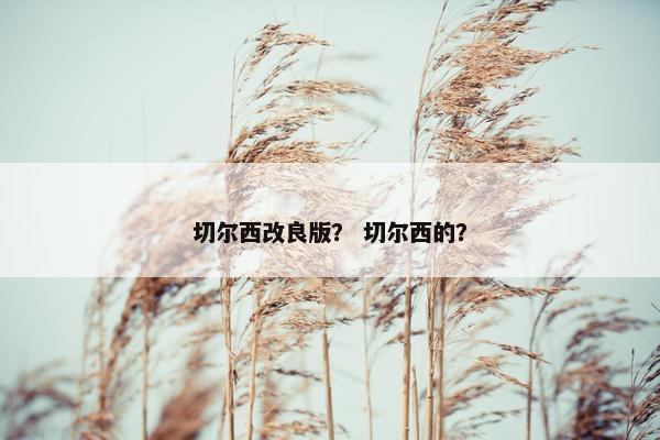 切尔西改良版？ 切尔西的？