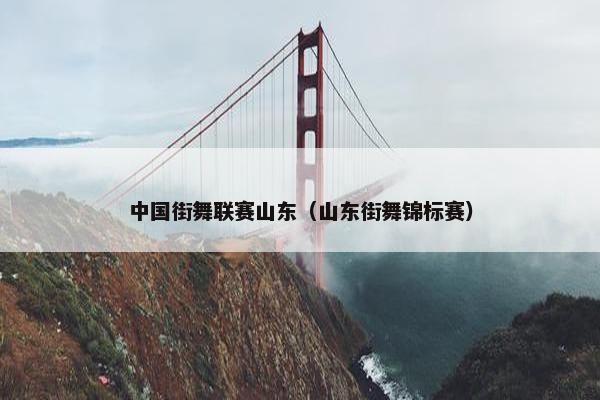 中国街舞联赛山东（山东街舞锦标赛）