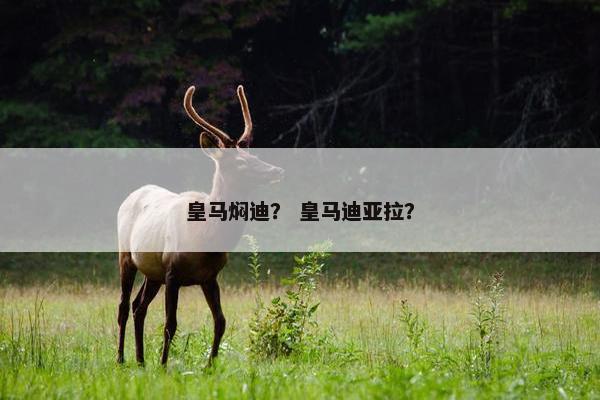 皇马焖迪？ 皇马迪亚拉？