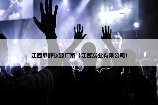 江西甲醇碳源厂家（江西炭业有限公司）