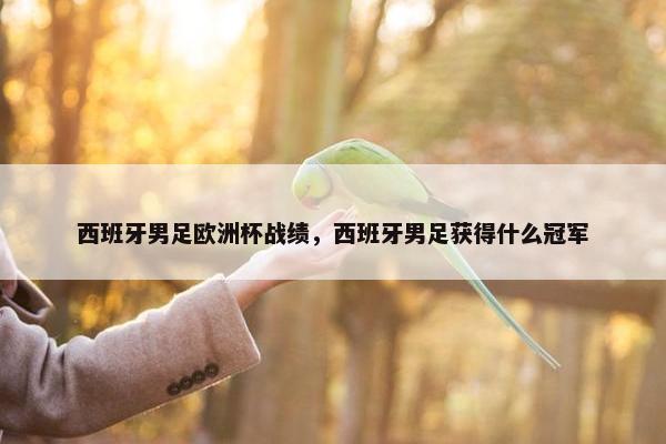 西班牙男足欧洲杯战绩，西班牙男足获得什么冠军