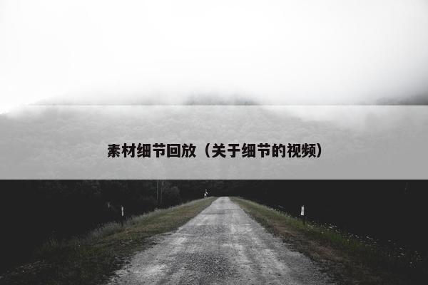 素材细节回放（关于细节的视频）