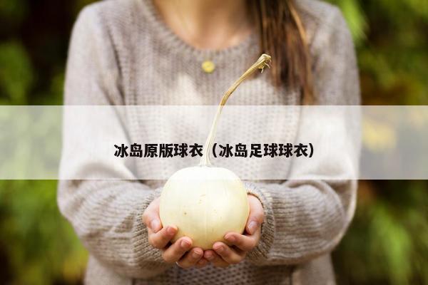 冰岛原版球衣（冰岛足球球衣）