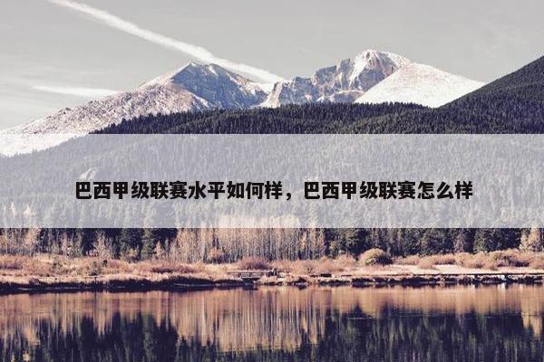 巴西甲级联赛水平如何样，巴西甲级联赛怎么样