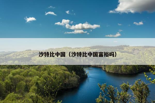 沙特比中国（沙特比中国富裕吗）