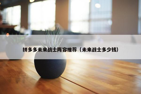 拼多多未来战士阵容推荐（未来战士多少钱）