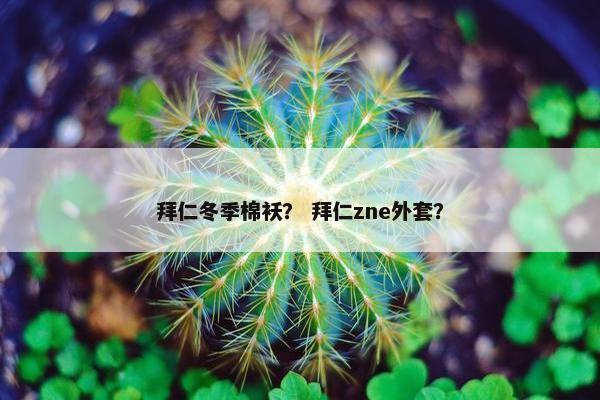 拜仁冬季棉袄？ 拜仁zne外套？