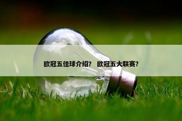 欧冠五佳球介绍？ 欧冠五大联赛？