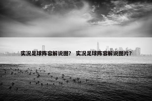 实况足球阵容解说图？ 实况足球阵容解说图片？
