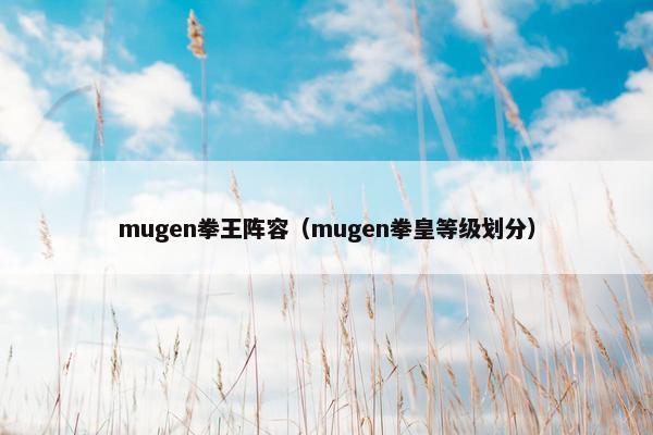 mugen拳王阵容（mugen拳皇等级划分）