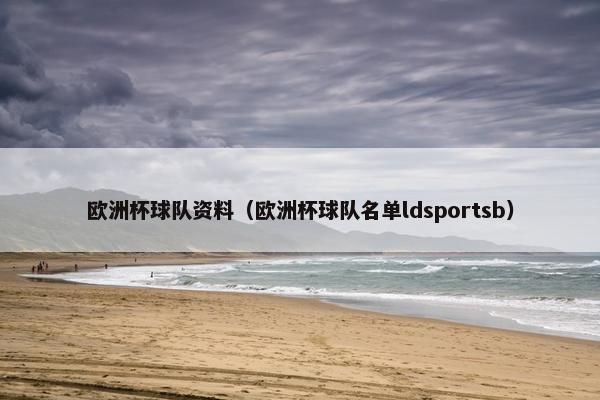 欧洲杯球队资料（欧洲杯球队名单ldsportsb）