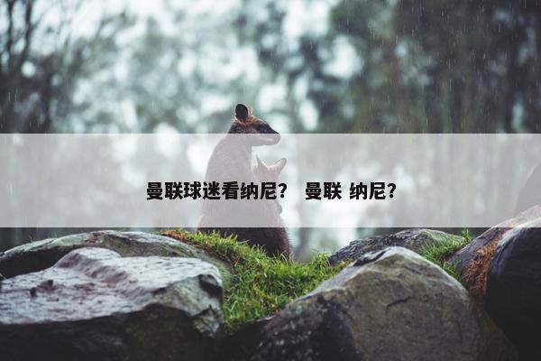 曼联球迷看纳尼？ 曼联 纳尼？