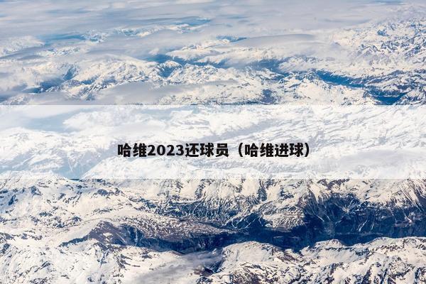 哈维2023还球员（哈维进球）