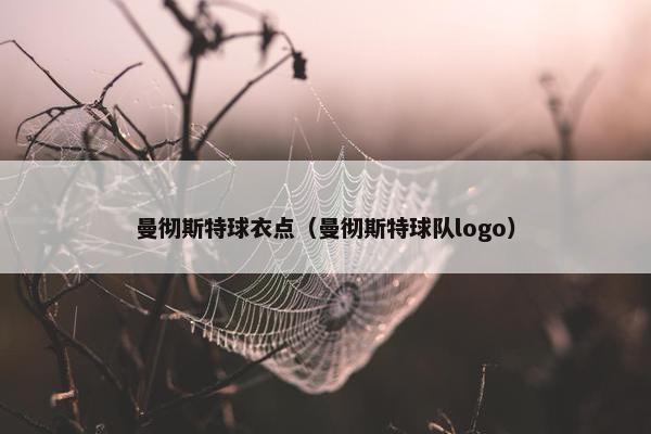 曼彻斯特球衣点（曼彻斯特球队logo）
