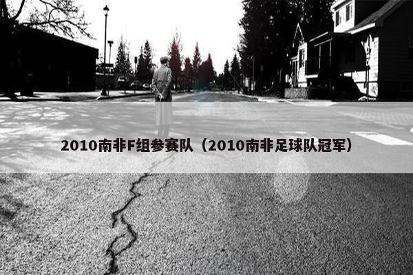 2010南非F组参赛队（2010南非足球队冠军）