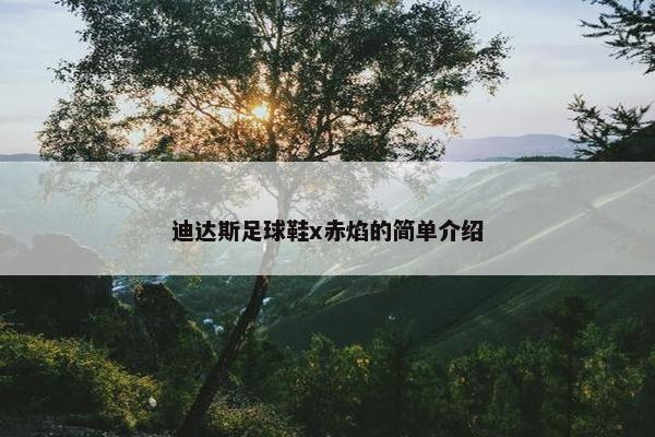 迪达斯足球鞋x赤焰的简单介绍