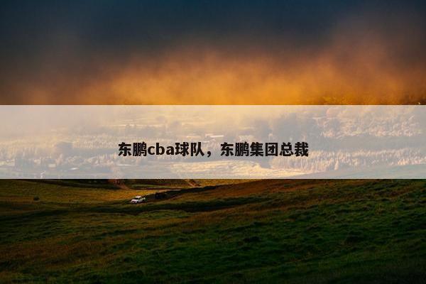 东鹏cba球队，东鹏集团总裁