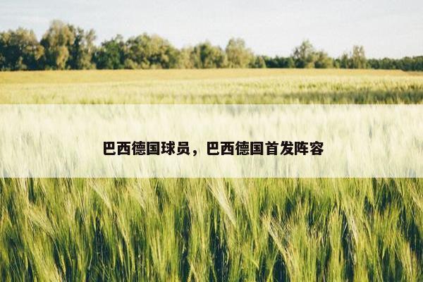 巴西德国球员，巴西德国首发阵容