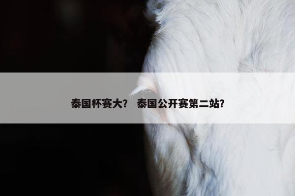 泰国杯赛大？ 泰国公开赛第二站？