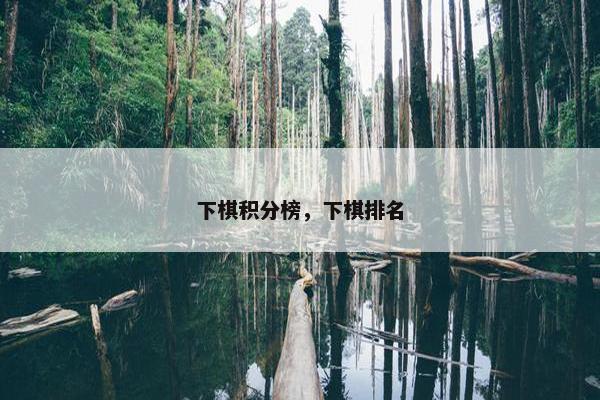 下棋积分榜，下棋排名