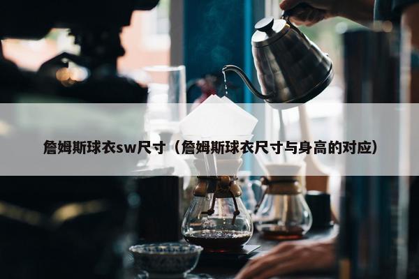 詹姆斯球衣sw尺寸（詹姆斯球衣尺寸与身高的对应）