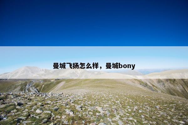 曼城飞扬怎么样，曼城bony