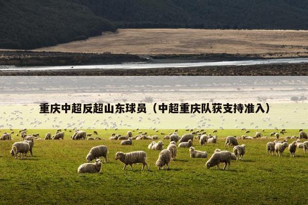 重庆中超反超山东球员（中超重庆队获支持准入）
