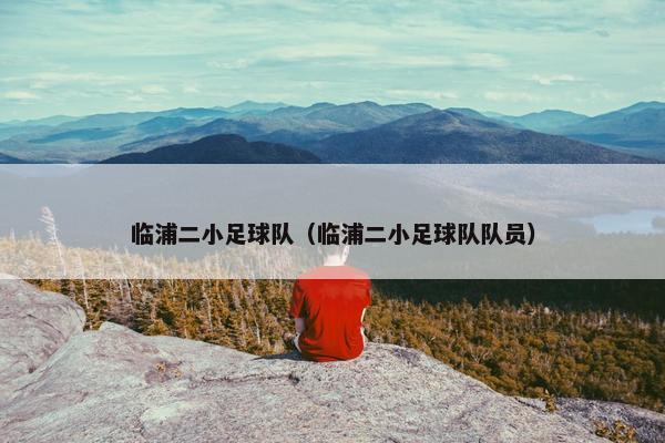 临浦二小足球队（临浦二小足球队队员）