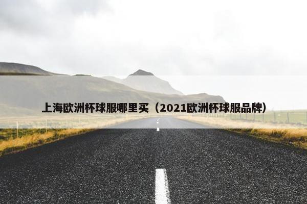 上海欧洲杯球服哪里买（2021欧洲杯球服品牌）