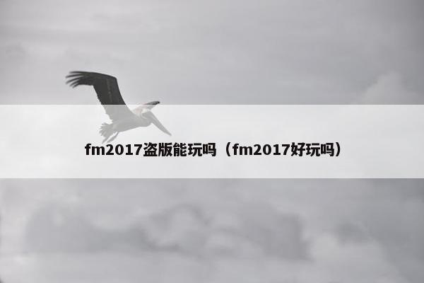 fm2017盗版能玩吗（fm2017好玩吗）