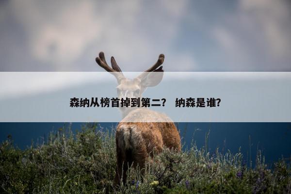 森纳从榜首掉到第二？ 纳森是谁？