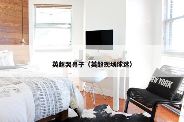 英超哭鼻子（英超现场球迷）
