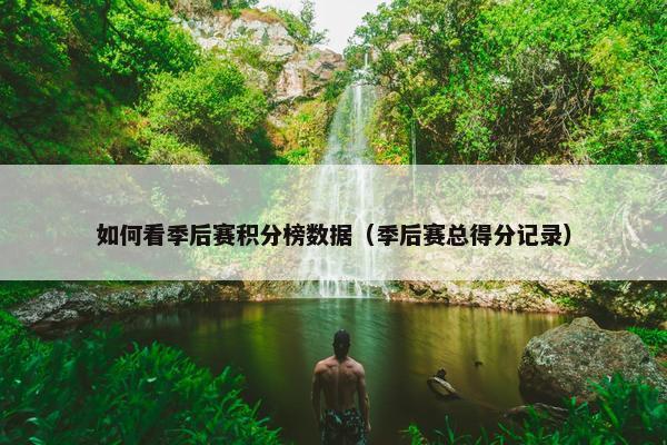 如何看季后赛积分榜数据（季后赛总得分记录）