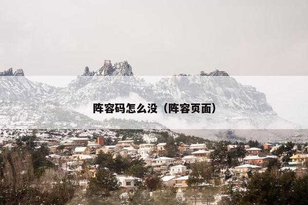 阵容码怎么没（阵容页面）