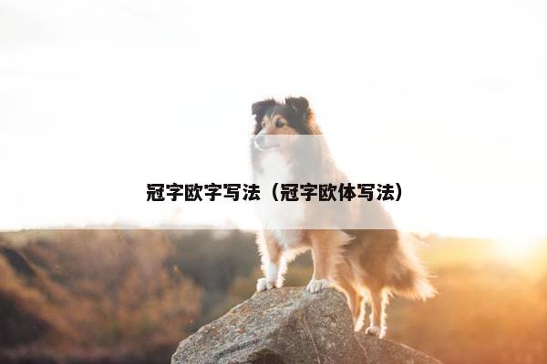 冠字欧字写法（冠字欧体写法）