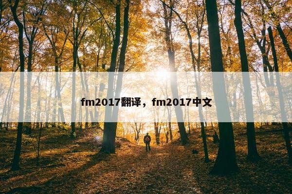 fm2017翻译，fm2017中文