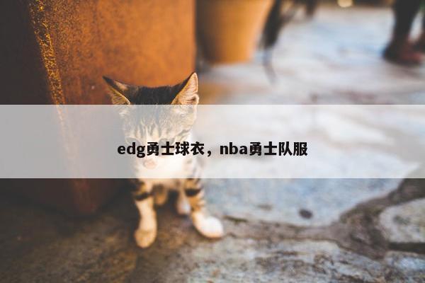 edg勇士球衣，nba勇士队服