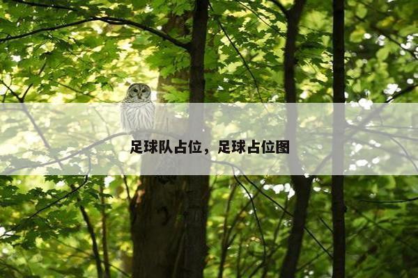 足球队占位，足球占位图