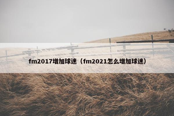 fm2017增加球迷（fm2021怎么增加球迷）